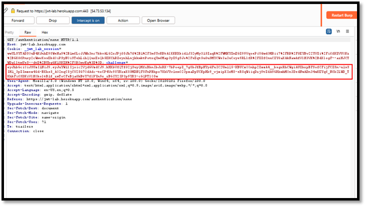 json-web-token